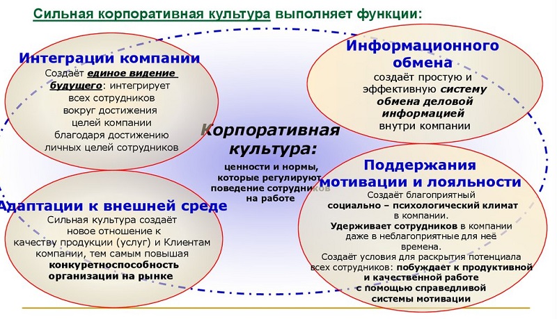 Виды и функции культуры план