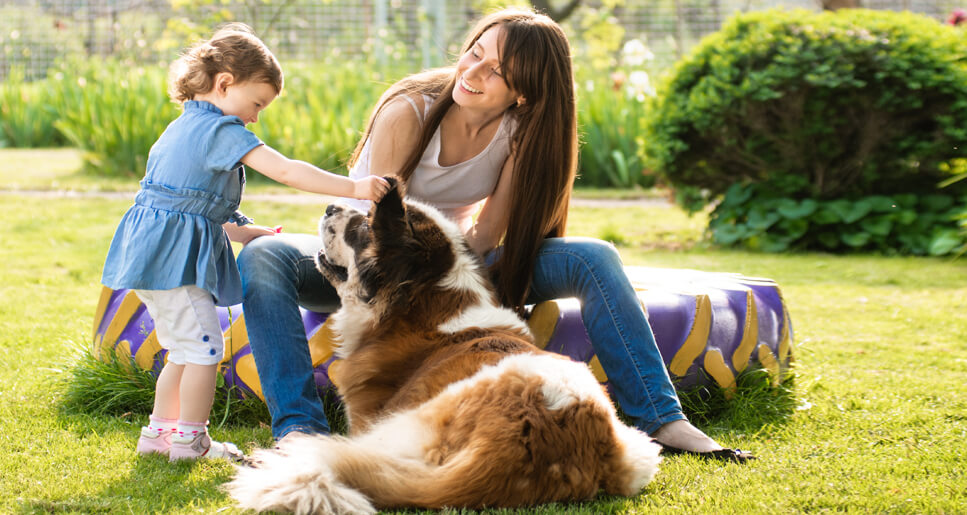 описание фото