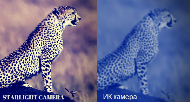 NEW технология цветного изображения в условиях сложной освещенности STARLIGHT камеры