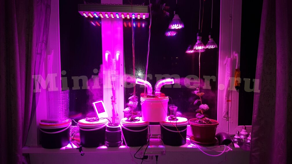 спектрограмма спектр фито лампы для растений led spectrum grow light