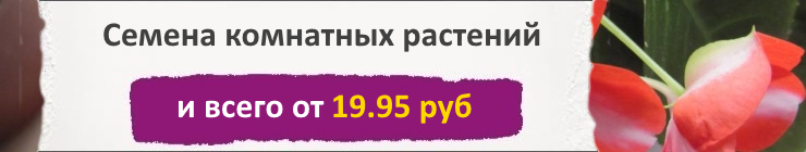 Купить Дешевые Семена Почтой Наложенным Платежом