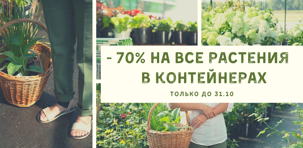 Садовый Центр Исаковский