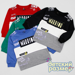 Свитшот (нашивка)