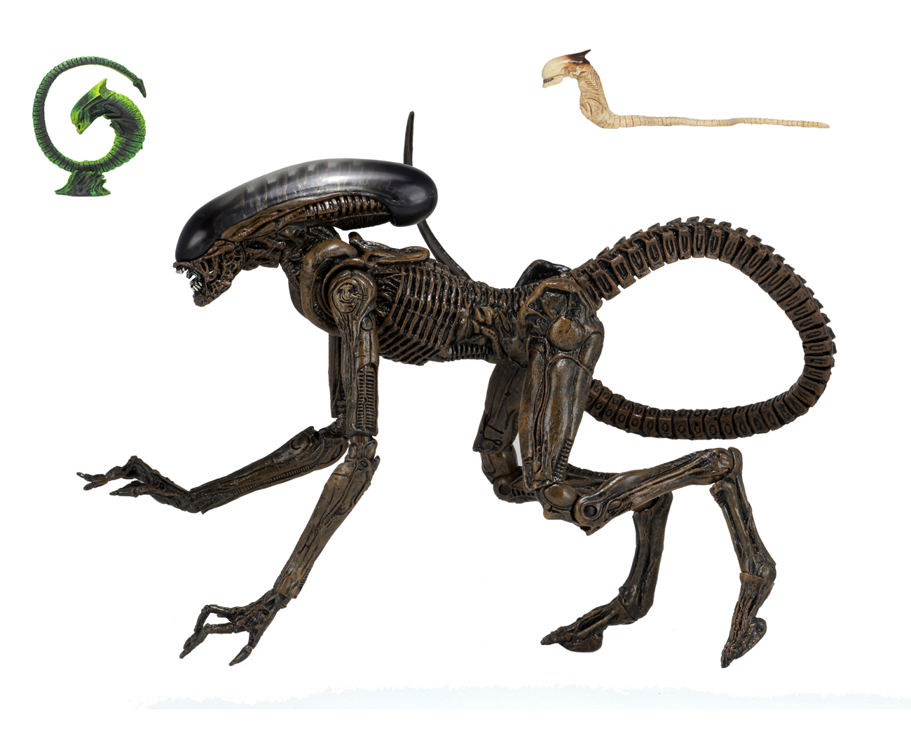 Фигуры чужого. Фигурка NECA Dog Alien. Фигурка NECA Aliens Ultimate. Фигурка NECA Aliens красная Королева чужих 51364. Фигурка NECA Alien 7 Scale Action Figure.