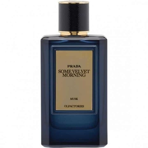 Prada Some Velvet Morning Eau De Parfum