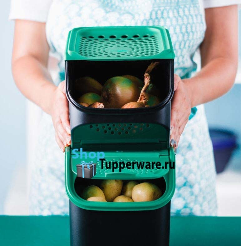 Контейнер «Свежесть» 2,3л Tupperware (Тапервер) - купить в ...