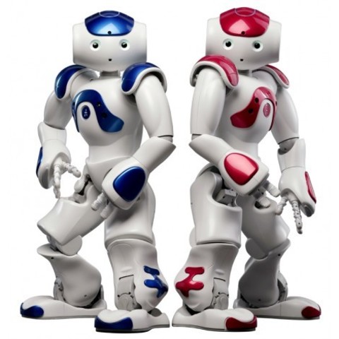 nao evolution v5