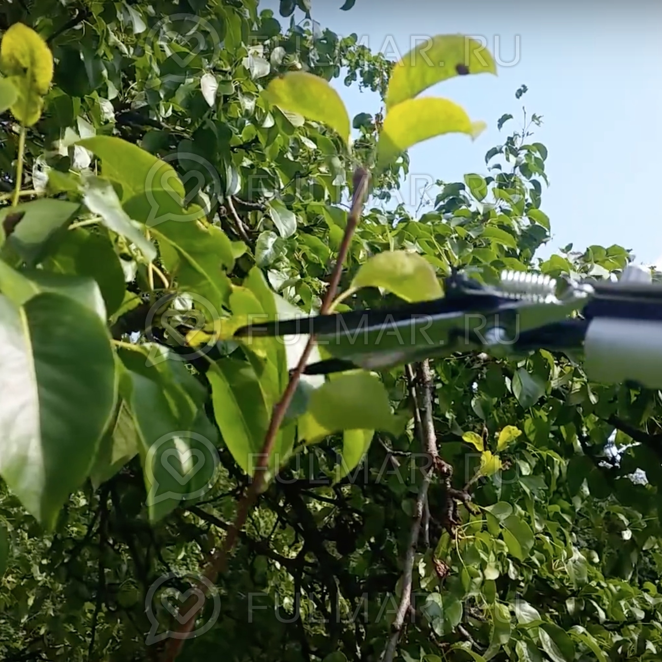 Плодосборник телескопический Fruit picking