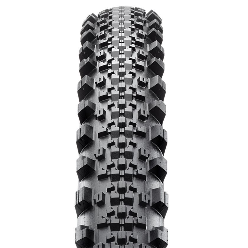 maxxis minion tubeless