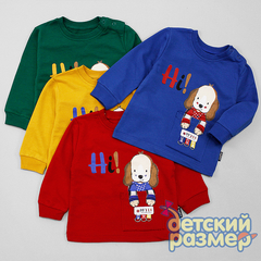 Свитшот