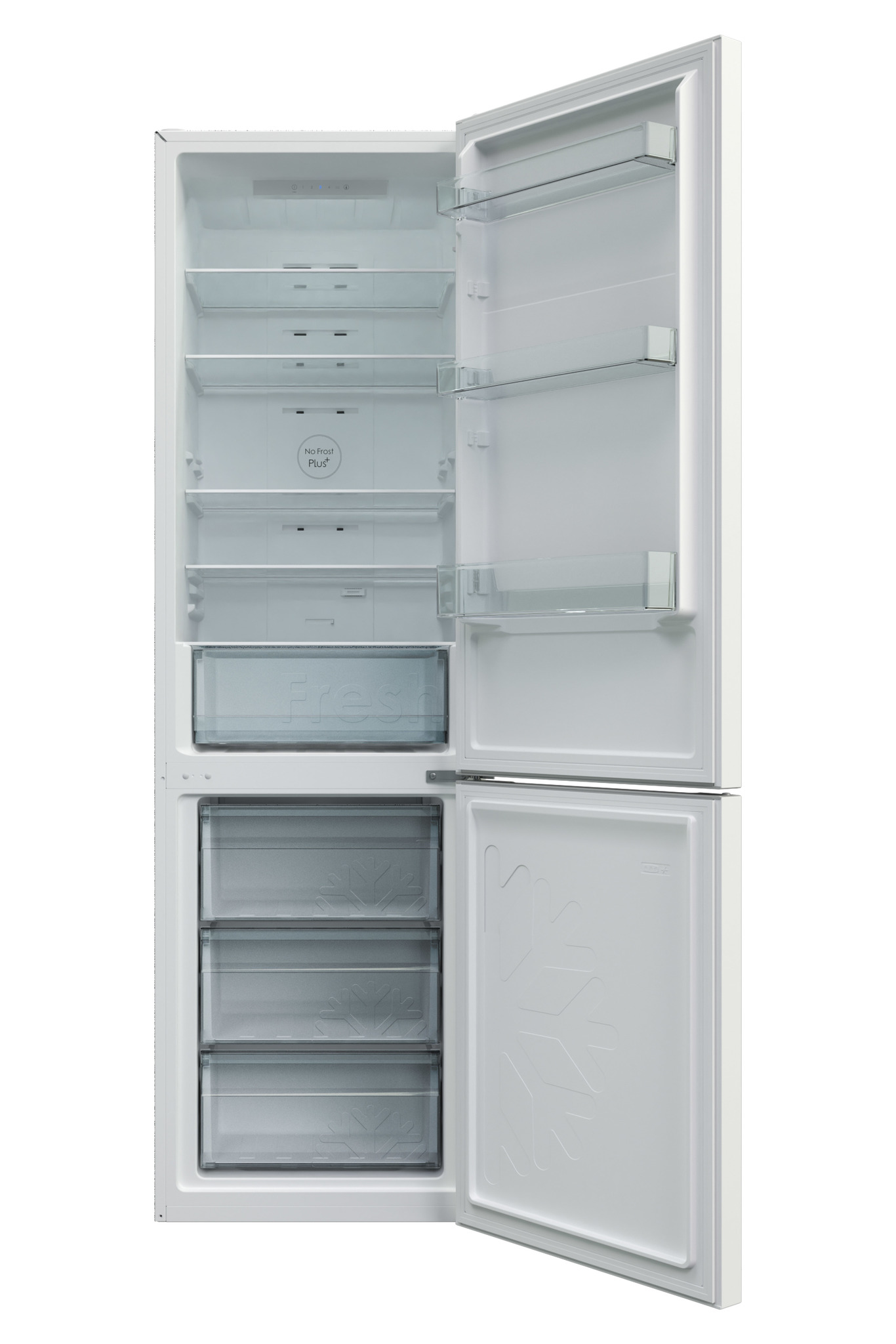 Холодильник Candy CCRN 6200 W фото 2