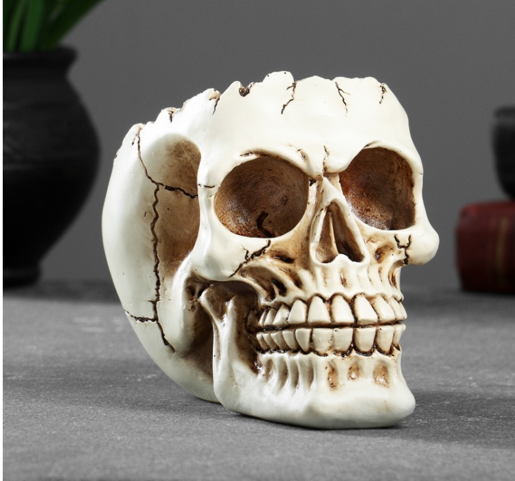 

Кашпо голова подставка под мелочи "Череп" 14х10х11см